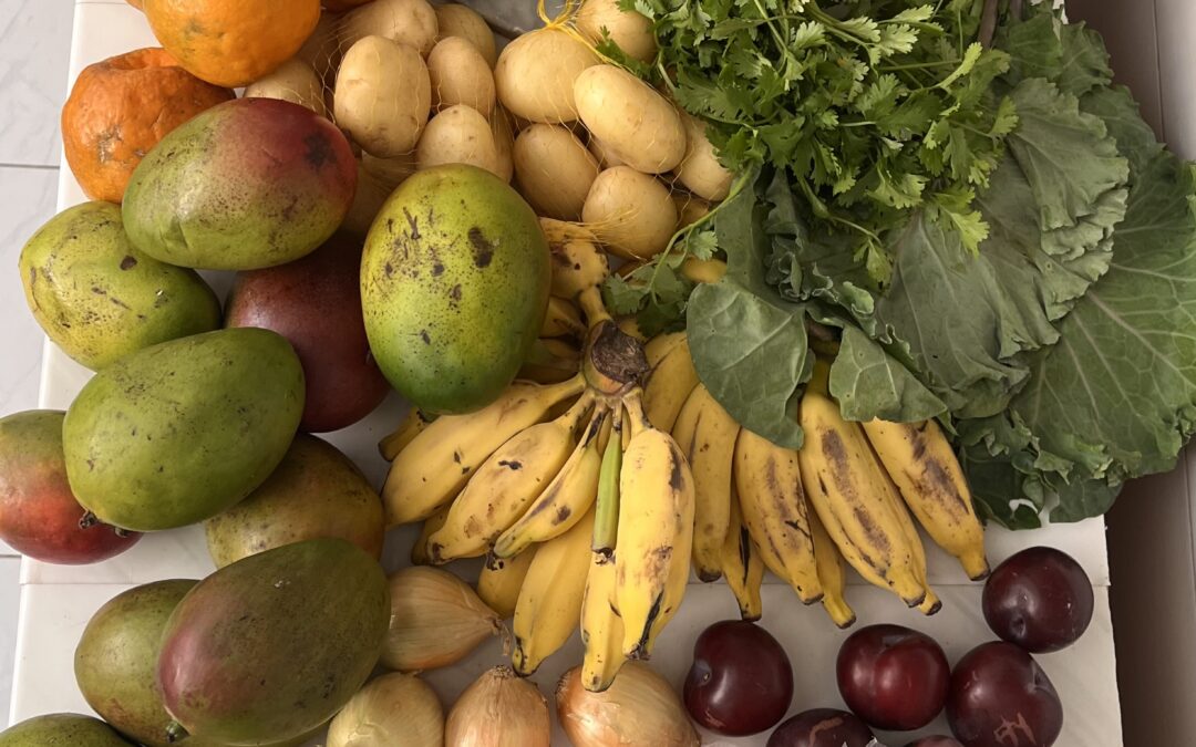 Your digestion called… it needs more fibre!